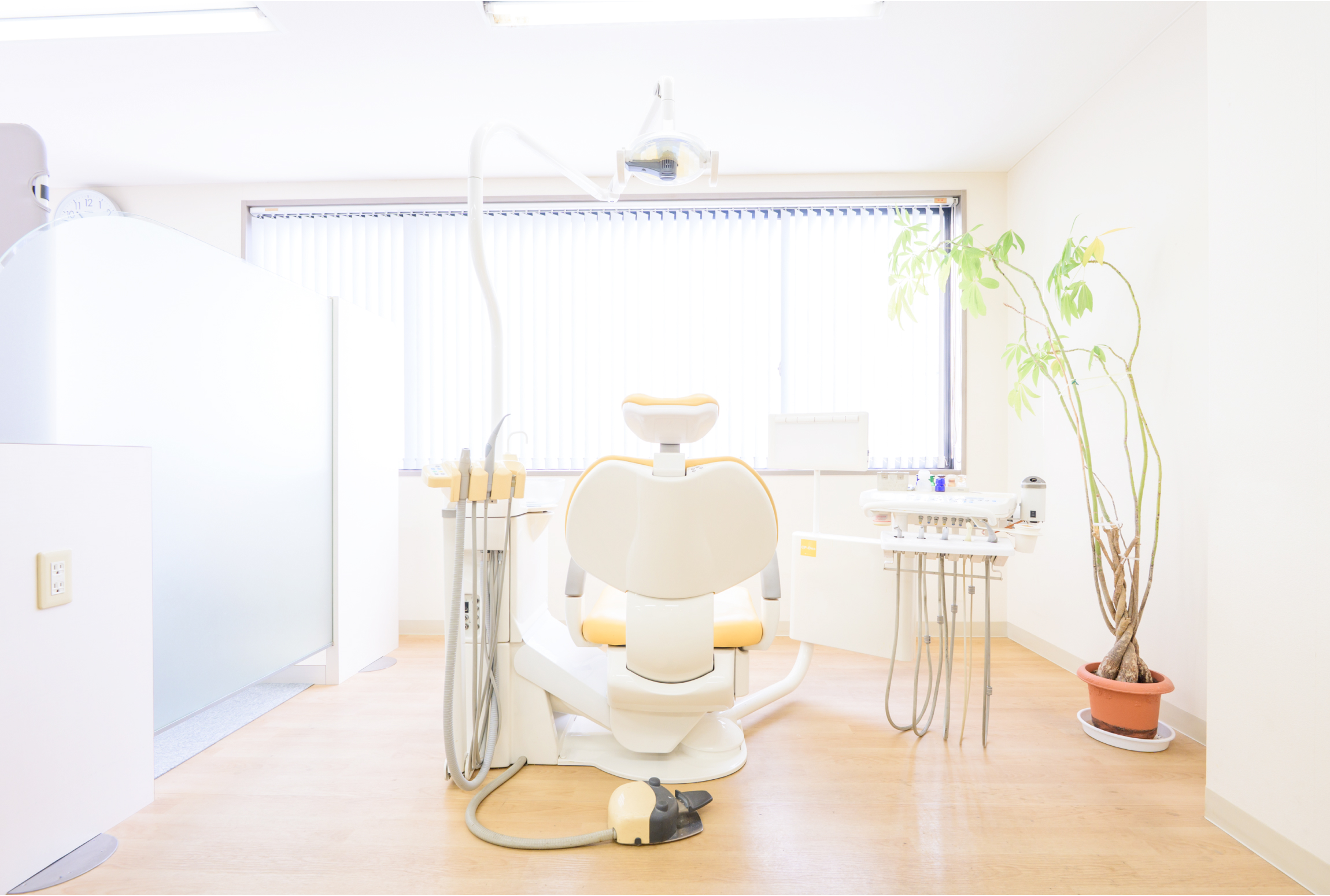 鏡を見るのが、楽しみになる。